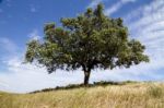 Rural Countryside Stock Photo