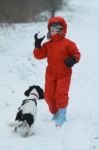 Boy And Dog Throwing Snowballs Stock Photo