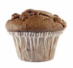 Chocolate Muffin Stock Photo