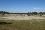 Spring Landscape In Alentejo Stock Photo