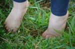 Child's Bare Feet In Grass Stock Photo