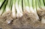 Green Onions At The Food Market Stock Photo