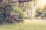 Seating Chairs In Park Stock Photo