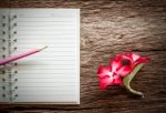 Notebook And Desert Rose Flowers On Old Wooden Background. Vintage Style Stock Photo