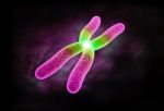 Chromosome Stock Photo