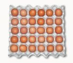 Large Tray Of Fresh Eggs Stock Photo