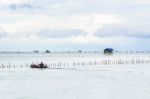 Landscape Fishing Cottage In Sea  Stock Photo