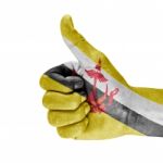 Brunei Flag On Thumb Up Hand Stock Photo