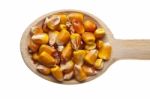 Corn Seeds On Wooden Spoon Stock Photo