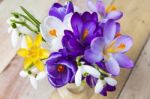 Bunch Of Spring Flowers. Crocus And Snowdrops On The Wooden Back Stock Photo