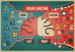 Retro Brain Function Chart Stock Photo