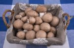 Basket Mushrooms On Colorful Tablecloth Stock Photo