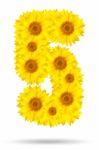 Number 5 Made Of Sunflower Stock Photo