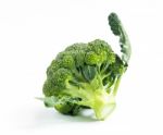 Broccoli Vegetable Isolated On White Background Stock Photo