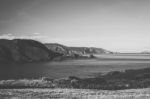 View Of Bruny Island Beach During The Day Stock Photo