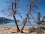 Landscape Of Lake Tahoe Stock Photo