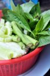 Vegetable Stock Photo