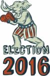 Election 2016 Republican Elephant Boxer Etching Stock Photo