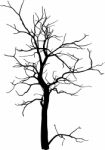 Dead Tree Without Leaves Isolated Stock Photo