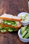 Fresh Vegetarian Sandwich With Garlic Cheese Dip Salad Stock Photo