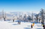 Deogyusan,korea - January 23: Skiers And Tourists In Deogyusan Ski Resort On Deogyusan Mountains,south Korea On January 23, 2015 Stock Photo