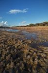 Low Tide Marshland Stock Photo