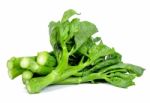 Kale Vegetable Isolated On The White Background Stock Photo