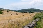 Harvest In Sardinia Stock Photo