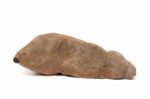 Sweet Potato On White Background Stock Photo