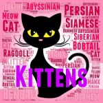 Kittens Words Represents Domestic Cat And Young Stock Photo