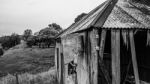 Abandoned Outback Farming Shed In Queensland Stock Photo