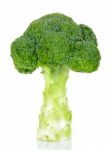 Fresh Broccoli Isolated On The White Background Stock Photo