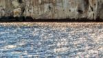 Rock Coastline Stock Photo