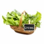 Herbs In A Braided Wooden Basket On White Background With The In Stock Photo