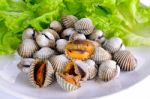 Boiled Cockles With Lettuce Stock Photo