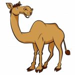 Cartoon Camel -  Clipart Illustration Stock Photo