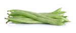 Green String Bean Isolated On The White Background Stock Photo