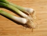 Green Onions Stock Photo