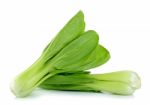 Bok Choy Vegetable Isolated On The White Background Stock Photo