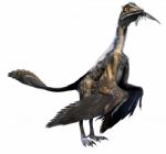 Archaeopteryx Stock Photo