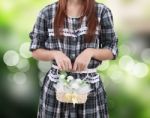 Woman And Flowers Stock Photo