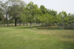 Blurred Image Of Green Park Scenery Stock Photo