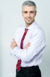 Business Executive Posing In Formals Stock Photo