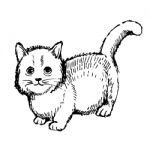 Little Cat Hand Drawn Stock Photo