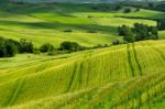 Farmland In Val D'orcia Tuscany Stock Photo