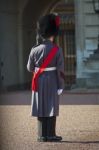 Grenadier Guard Wearing Winter Coat Stock Photo