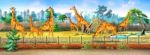 Giraffes In A Zoo Full Color Illustration Stock Photo