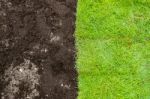 Green Grass And Brown Soil Landscape Stock Photo