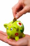 Coin In A Piggy Bank Stock Photo