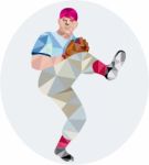 Baseball Pitcher Outfielder Throw Leg Up Low Polygon Stock Photo